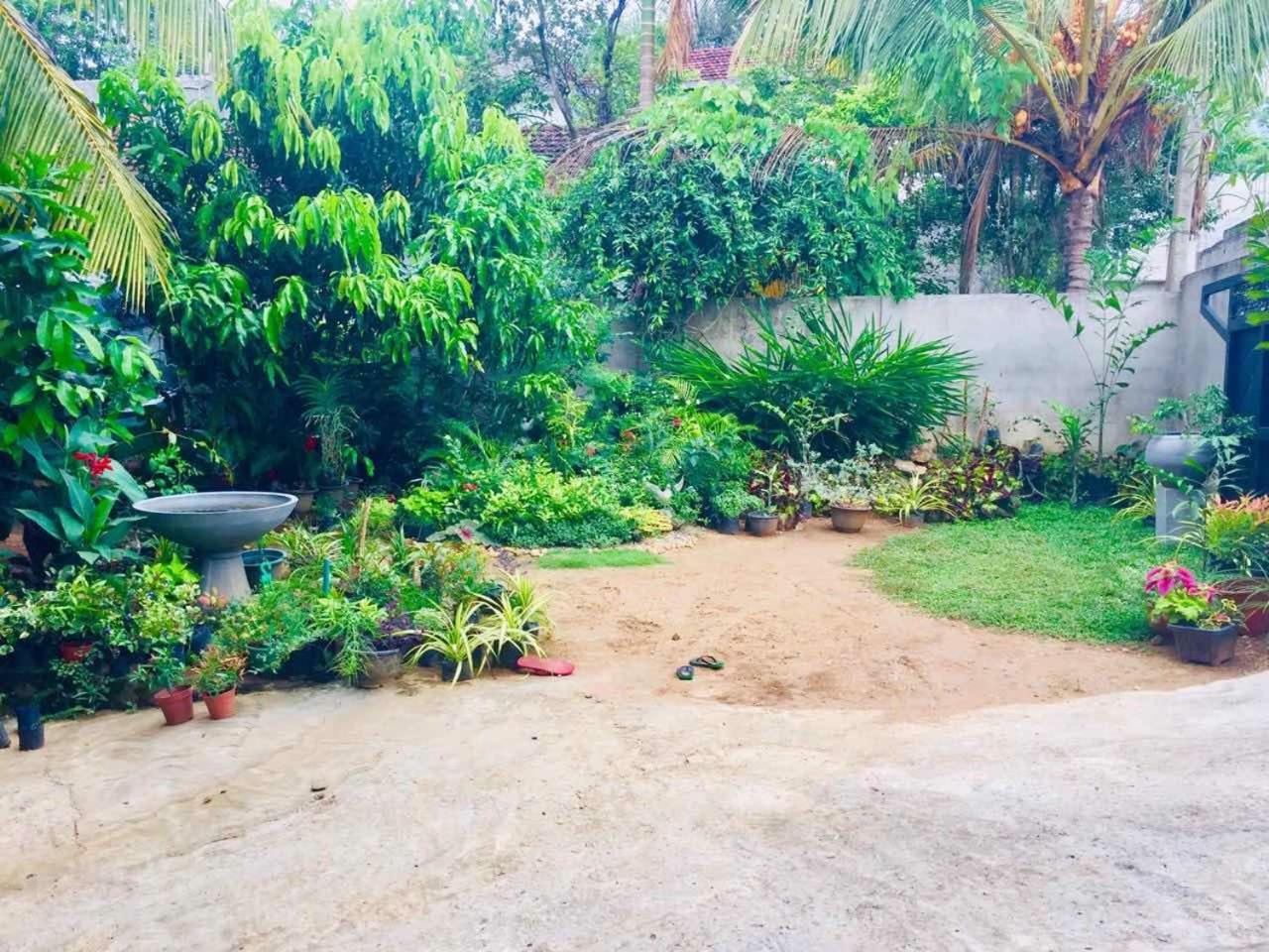 Suwani Pinnawala Homestay Exterior photo